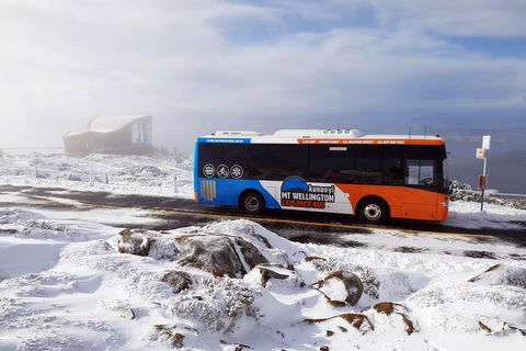 Kunanyi/Mt Wellington Tour & Hobart Hop-On Hop-Off Bus - Accommodation in Bendigo 2