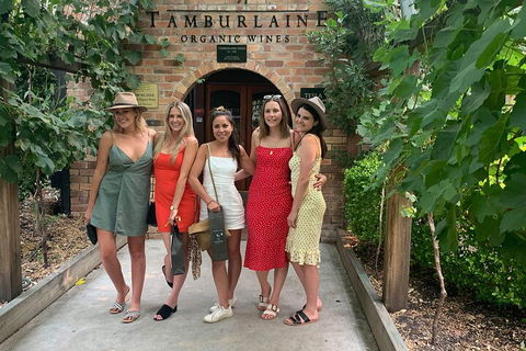 A Full Day Hunter Valley Wine Tasting Tour With Lunch And Tasting Fee's Included - Accommodation in Bendigo 4