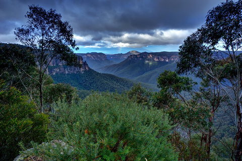 Ultimate Blue Mountains And Wildlife Tour - Accommodation in Bendigo 1