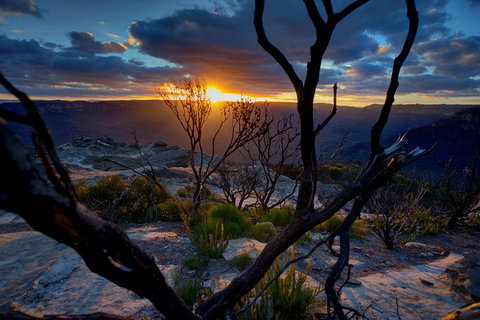 Ultimate Blue Mountains And Wildlife Tour - Accommodation in Bendigo 2
