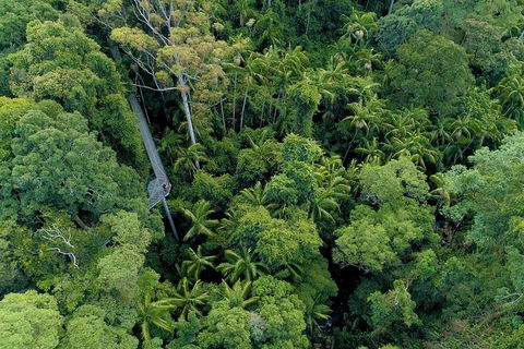 Natural Bridge, Skywalk And Mt Tamborine Adventure! - Accommodation in Bendigo 2