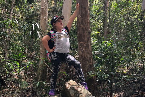 Natural Bridge, Skywalk And Mt Tamborine Adventure! - Accommodation in Bendigo 3