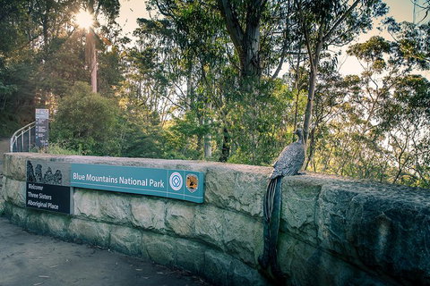 Ultimate Blue Mountains Waterfalls, Walks & Sunset PRIVATE Tour - Accommodation in Bendigo 3