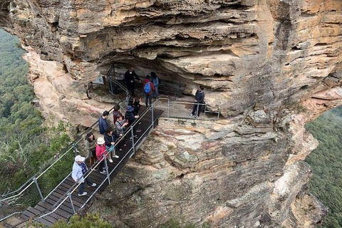 PJ Blue Mountains Supreme Day Tour - Accommodation in Bendigo 0