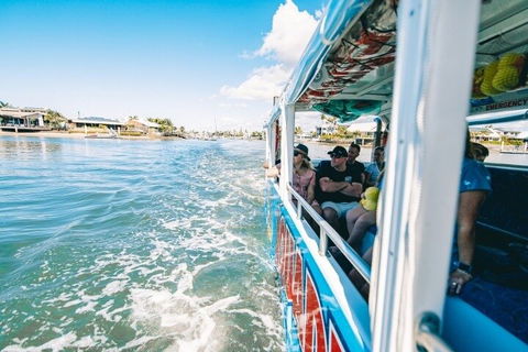 Aquaduck Sunshine Coast - Accommodation in Bendigo 5