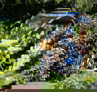 Adelaide 90-Minute Pedicab Tour Scenic Green  River Experience - Accommodation in Bendigo