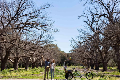 Adelaide 90-Minute Pedicab Tour: Scenic Green & River Experience - Accommodation in Bendigo 1