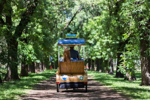 Adelaide 90-Minute Pedicab Tour: Scenic Green & River Experience - Accommodation in Bendigo 2