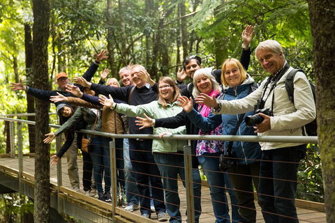 All Inclusive Blue Mountains Small-Group Day Trip From Sydney - Accommodation in Bendigo 5