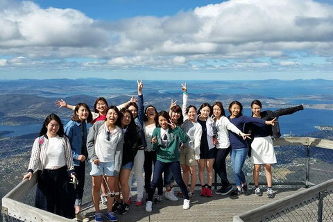 Mt Field National Park Active Day-Trip Including Bonorong And Mt Wellington - Accommodation in Bendigo 2