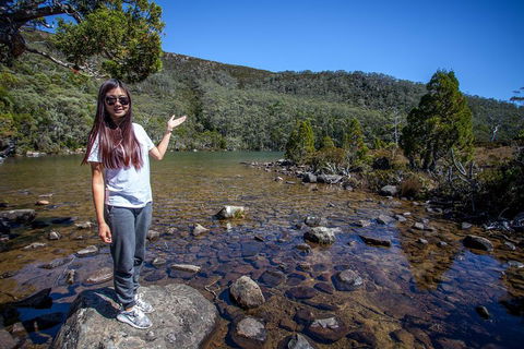 Mt Field National Park Active Day-Trip Including Bonorong And Mt Wellington - Accommodation in Bendigo 4