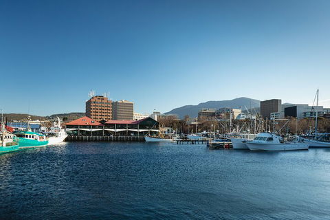 Hobart City Sightseeing Tour Including MONA Admission - Accommodation in Bendigo 0