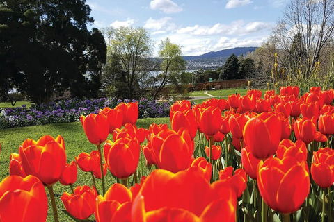 Hobart City Sightseeing Tour Including MONA Admission - Accommodation in Bendigo 4