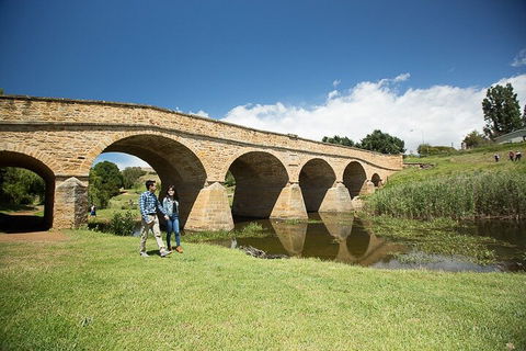 Bonorong Wildlife Park And Richmond Afternoon Tour From Hobart - Accommodation in Bendigo 0