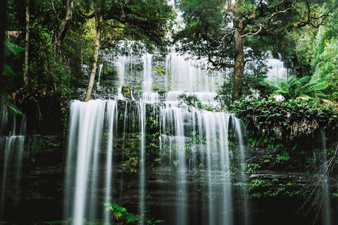 Mt Field National Park And Russell Falls From Hobart - Accommodation in Bendigo 0