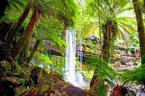 Mt Field National Park And Russell Falls From Hobart - Accommodation in Bendigo 4