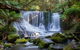 Mt Field National Park And Russell Falls From Hobart - thumb 5