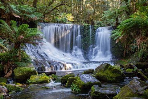 Mt Field National Park And Russell Falls From Hobart - Accommodation in Bendigo 5