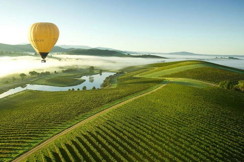 Half-Day Or Full-Day Tour With Private Guide From Melbourne - Accommodation in Bendigo 4