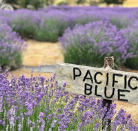 Kangaroo Island Food and Wine Trail Tour - Accommodation in Bendigo