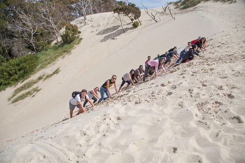 3 Day Tasmanian Wild West Coast Tour From Hobart To Launceston - Accommodation in Bendigo 2