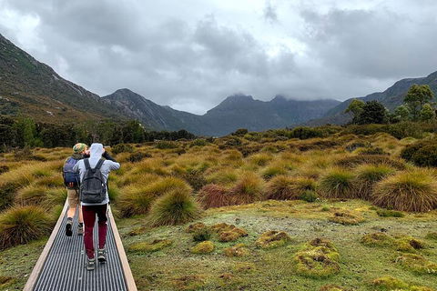 3 Day Tasmanian Wild West Coast Tour From Hobart To Launceston - Accommodation in Bendigo 3