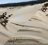 Port Stephens Bush Beach and Sand Dune 4WD Tag-Along Tour - Accommodation in Bendigo