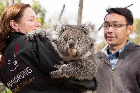 Bonorong Wildlife Park And Richmond Afternoon Tour From Hobart - Accommodation in Bendigo 0