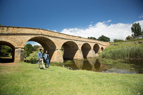 Bonorong Wildlife Park And Richmond Afternoon Tour From Hobart - Accommodation in Bendigo 2