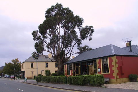 Bonorong Wildlife Park And Richmond Afternoon Tour From Hobart - Accommodation in Bendigo 3