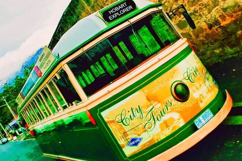 Hobart Half-Day Sightseeing Coach Tram Tour - Accommodation in Bendigo 5