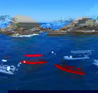3-Hour Byron Bay Certified Scuba Diving Tour - Accommodation in Bendigo