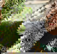 Small-Group Adelaide Central Market Early Breakfast Tour - Accommodation in Bendigo