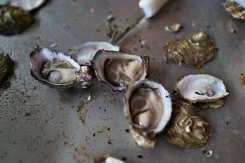 Fine Flavours - Full Day Kangaroo Island Food & Wine Tour - Accommodation in Bendigo 2