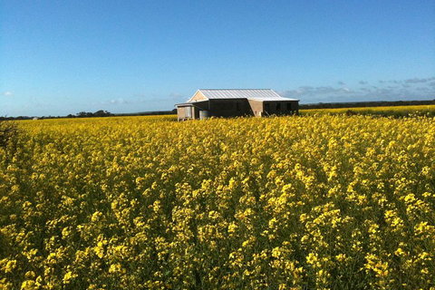 Fine Flavours - Full Day Kangaroo Island Food & Wine Tour - Accommodation in Bendigo 3