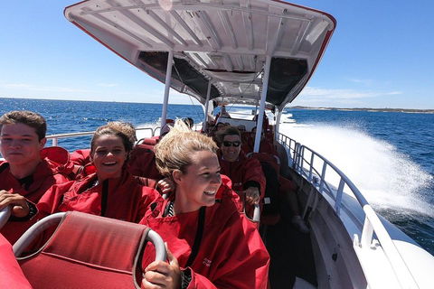Adventure Rottnest Tour With Ferry & Adventure Cruise From Perth Or Fremantle - Accommodation in Bendigo 0