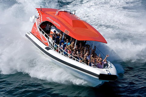 Adventure Rottnest Tour With Ferry & Adventure Cruise From Perth Or Fremantle - Accommodation in Bendigo 2