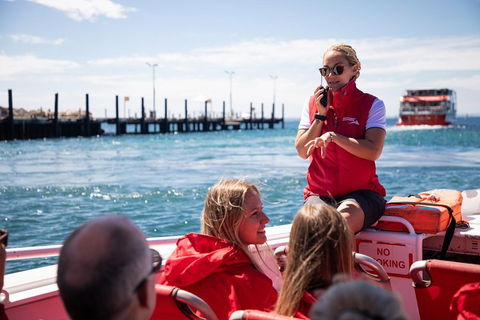 Adventure Rottnest Tour With Ferry & Adventure Cruise From Perth Or Fremantle - Accommodation in Bendigo 4