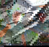 Virtual Interactive Australian Wildlife Tour With Private Guide-Wildlife Habitat - Accommodation in Bendigo