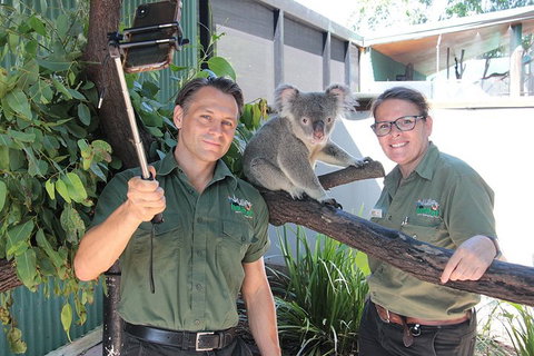 Virtual Interactive Australian Wildlife Tour With Private Guide-Wildlife Habitat - Accommodation in Bendigo 0