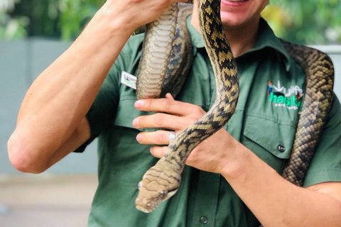 Virtual Interactive Australian Wildlife Tour With Private Guide-Wildlife Habitat - Accommodation in Bendigo 1