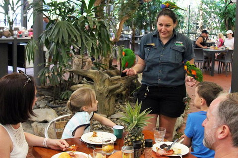 Wildlife Habitat Port Douglas - Accommodation in Bendigo 2
