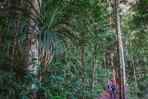 Atherton Tablelands Rain Forest By Night From Cairns - Accommodation in Bendigo 0