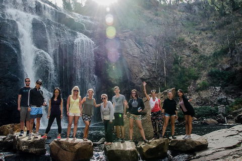 Adelaide To Melbourne 3-Day Trip Through Grampians And Great Ocean Road - Accommodation in Bendigo 1