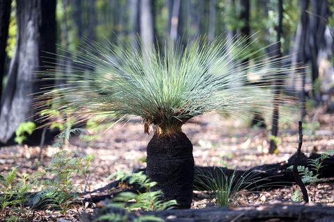 Adelaide To Melbourne 3-Day Trip Through Grampians And Great Ocean Road - Accommodation in Bendigo 4