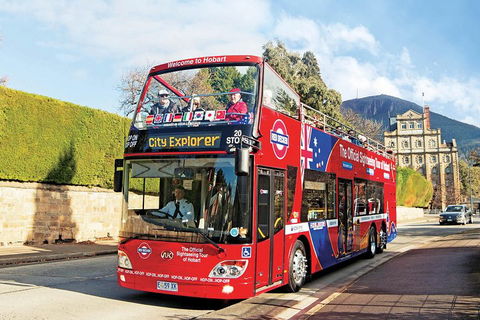 Hobart Hop-On Hop-Off Bus & Kunanyi/Mt Wellington Tour - Accommodation in Bendigo 4
