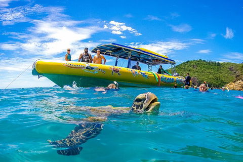 Great Barrier Reef Scenic Flight And Ocean Rafting Whitehaven Beach Day Trip - Accommodation in Bendigo 1