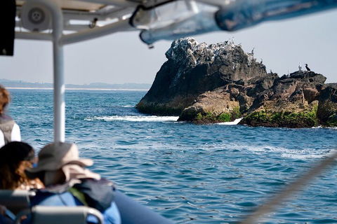 Julian Rocks Byron Bay Cruise - Accommodation in Bendigo 2