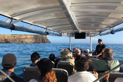 Julian Rocks Byron Bay Cruise - Accommodation in Bendigo 4