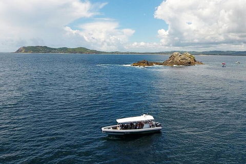 Julian Rocks Byron Bay Cruise - Accommodation in Bendigo 5